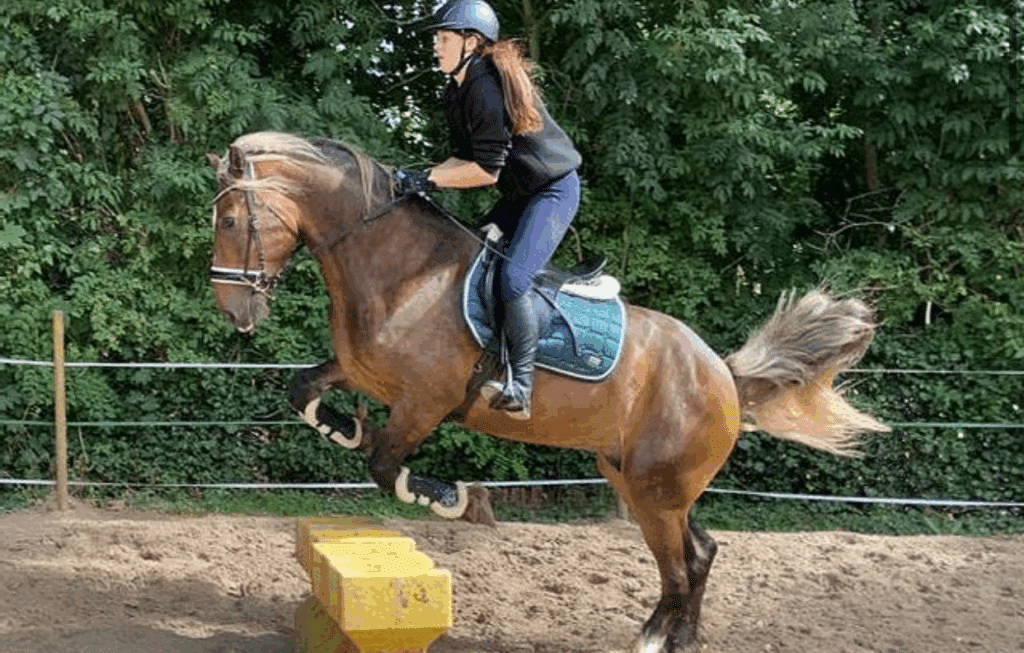 PONEY CLUB DE RUEIL-MALMAISON