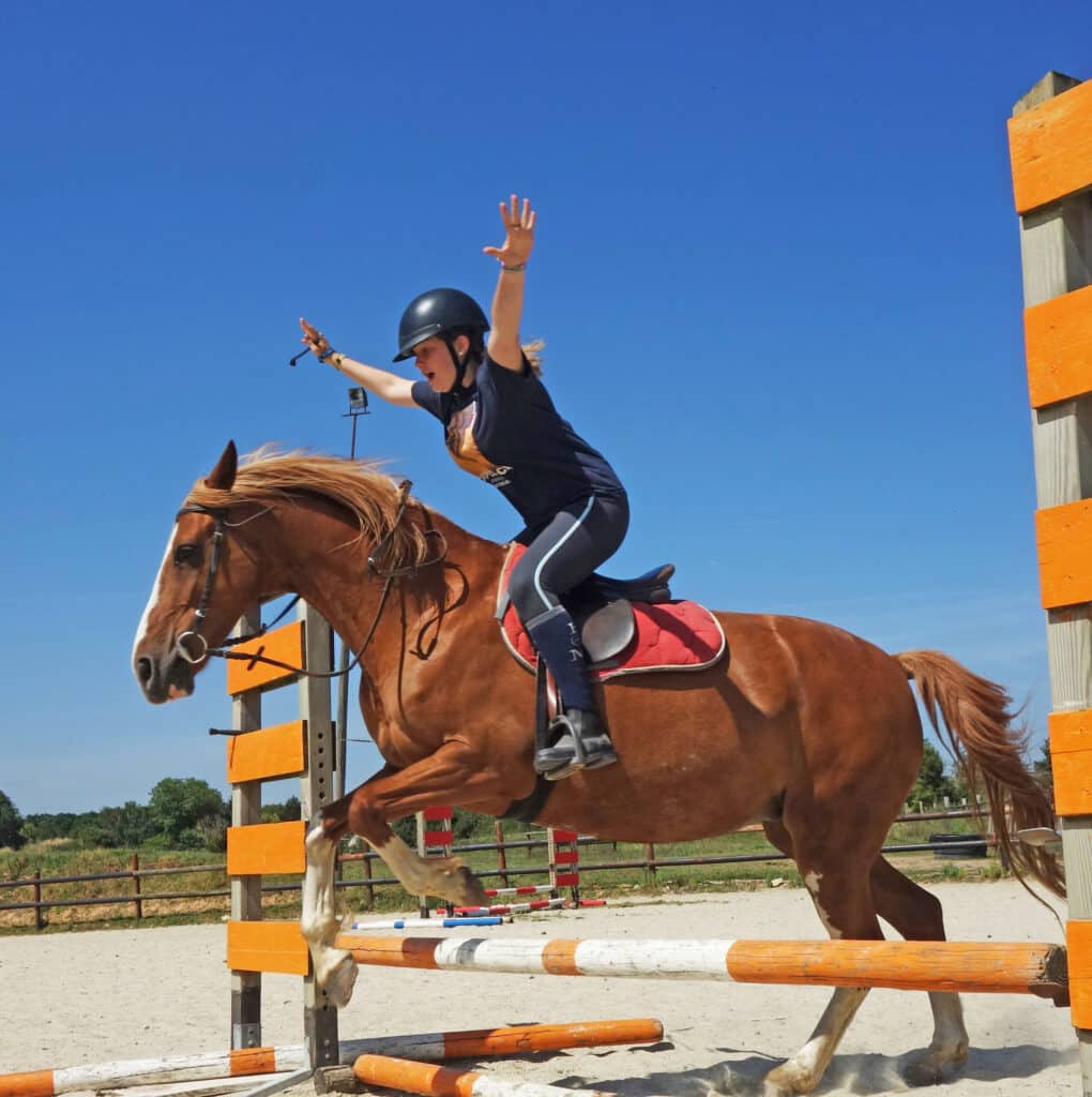 CENTRE EQUESTRE DU MESNIL