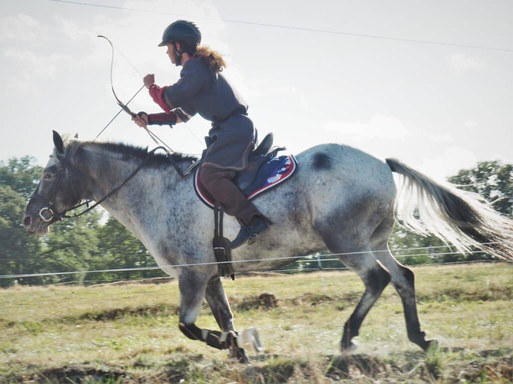PONEY CLUB LES SABOTS DU MAS MASSOU