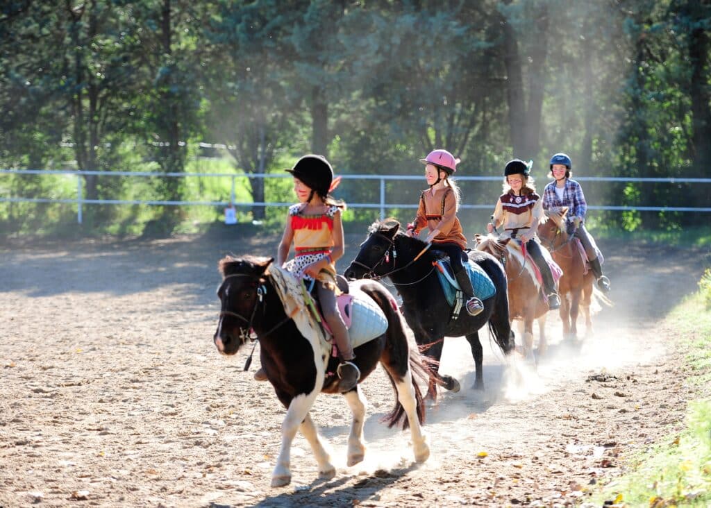 GAEC LES ÉCURIES D'AURABELLE