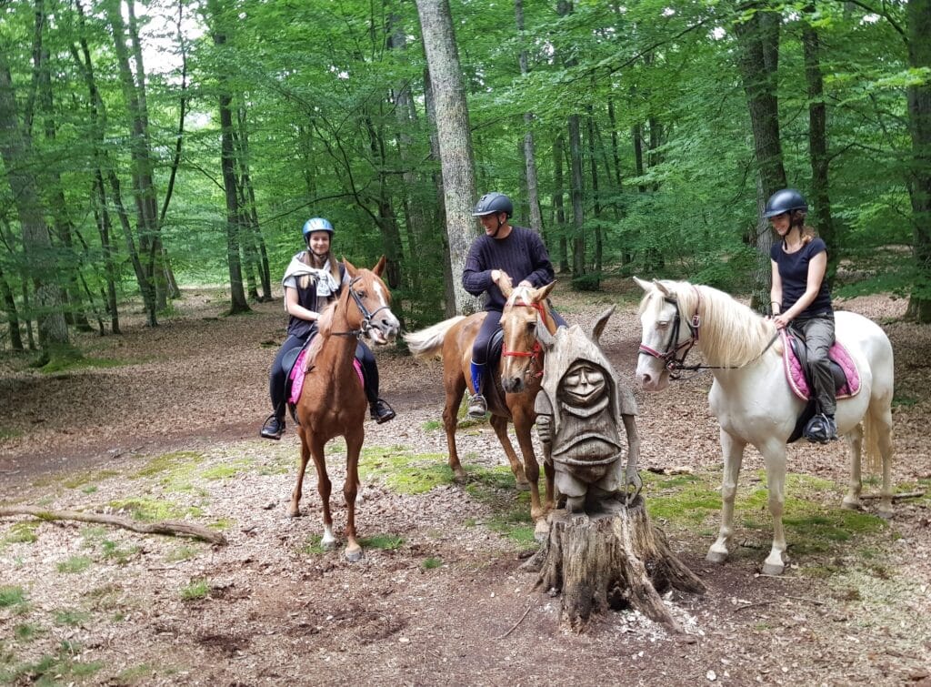 LES ECURIES DES COULEURS